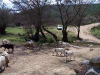 055 Monte Sette Fratelli